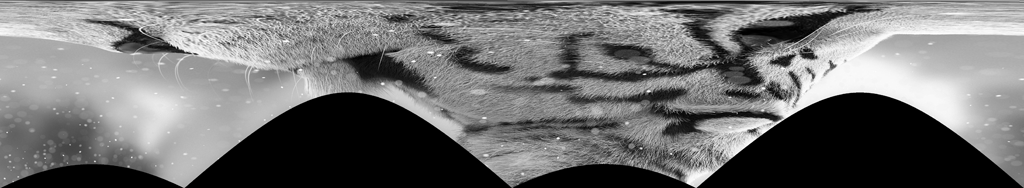 Cartesian-to-polar transform