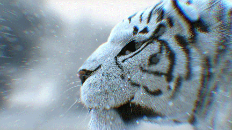 Lens blur & heavy chromatic aberration